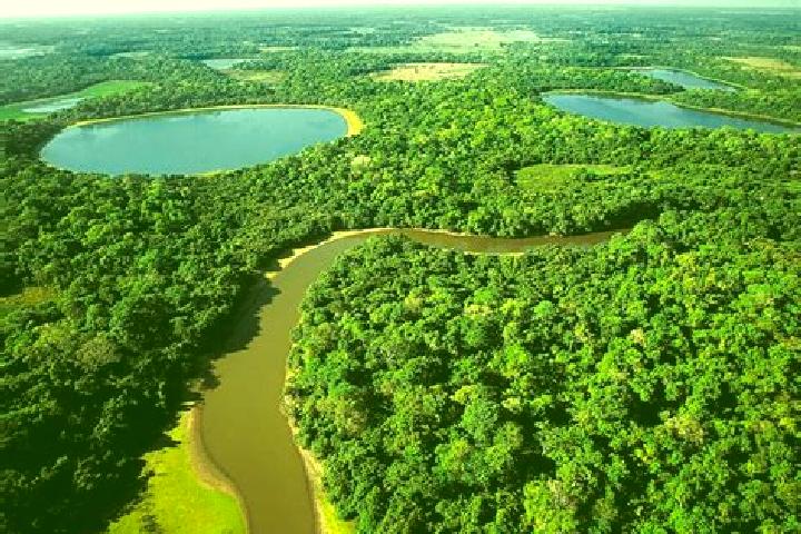 escort Pantanal