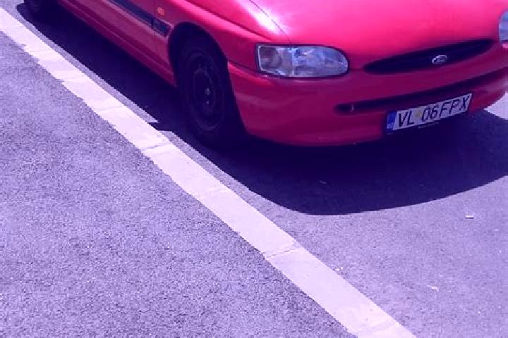 escort Pantelimon