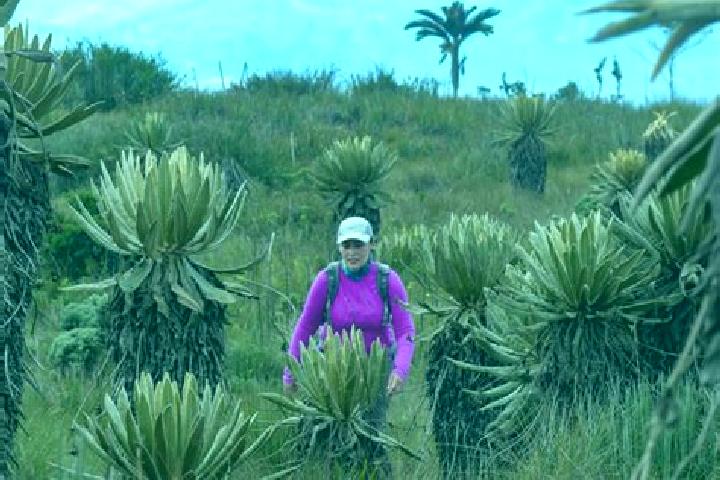 escort Paramo de Morelos