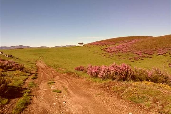 escort Paramo del Sil