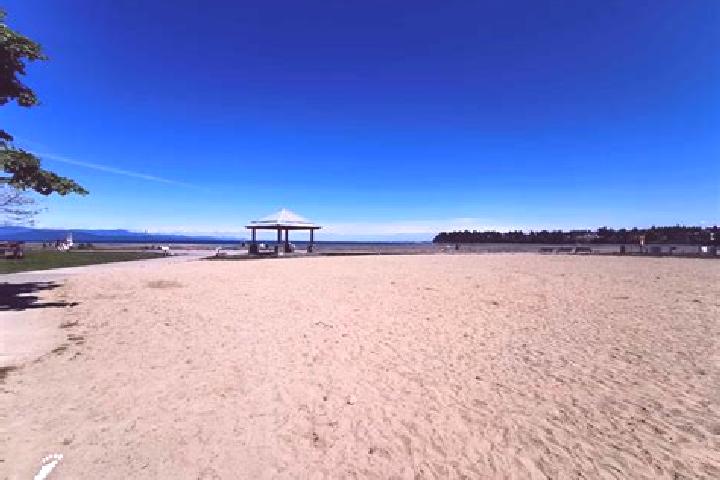 escort Parksville