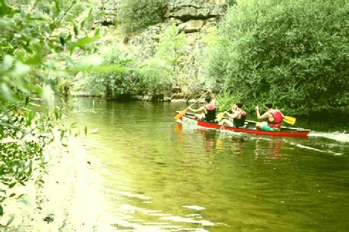 escort Paso Canoa