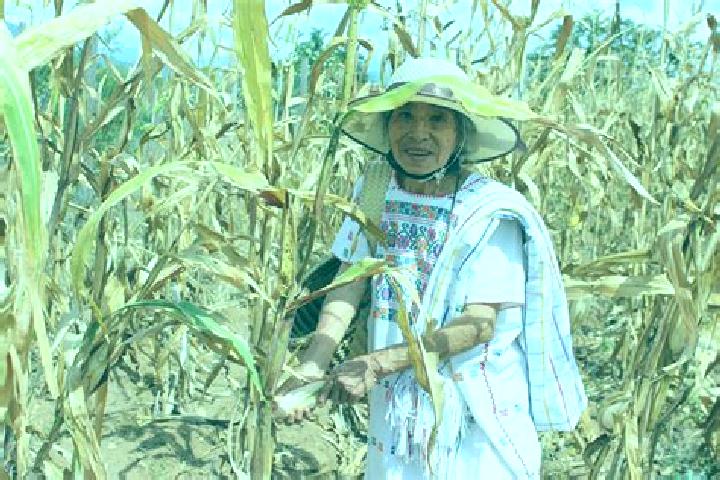escort Paso de la Milpa