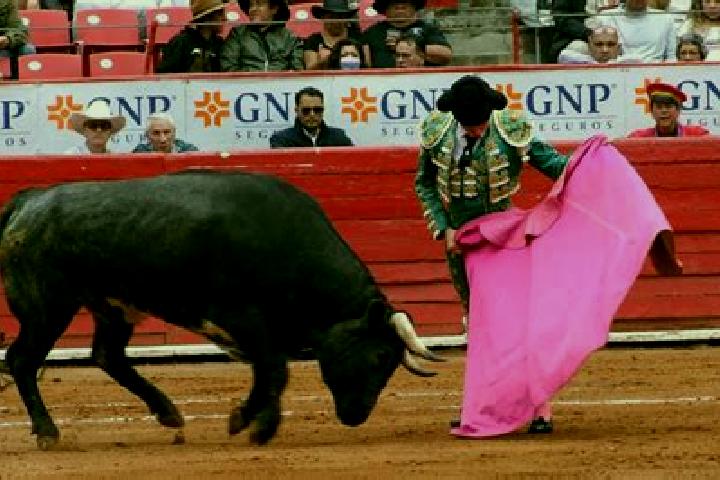 escort Paso de los Toros