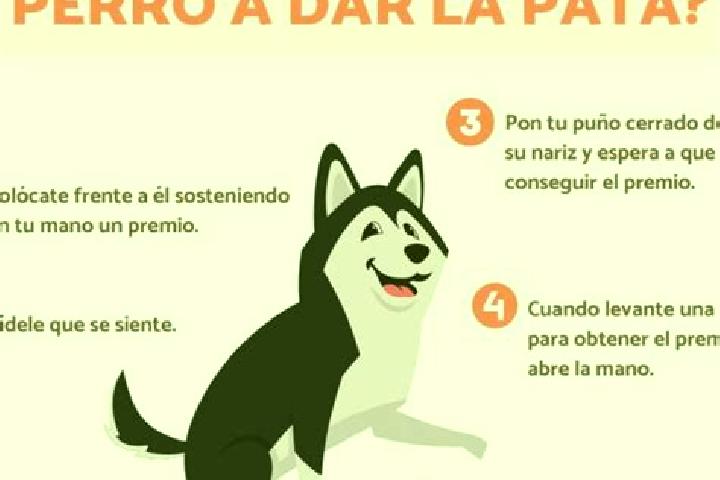 escort Paso del Perro