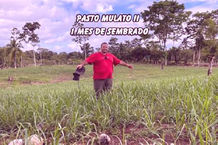 escort Paso Mulato