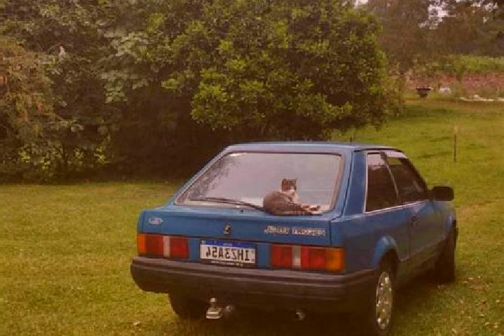 escort Passo do Sobrado