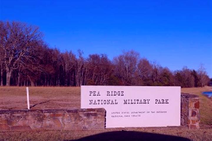 escort Pea Ridge