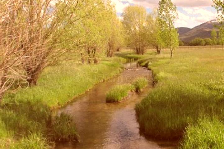 escort Peaceful Valley
