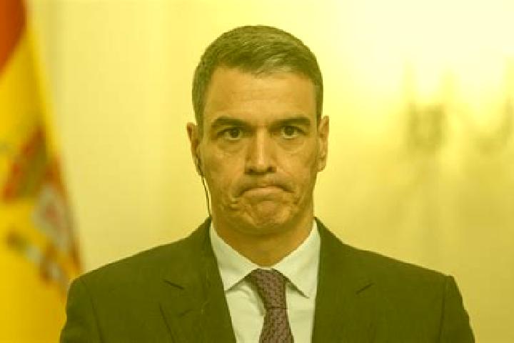 escort Pedro Sanchez