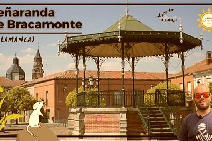 escort Penaranda de Bracamonte