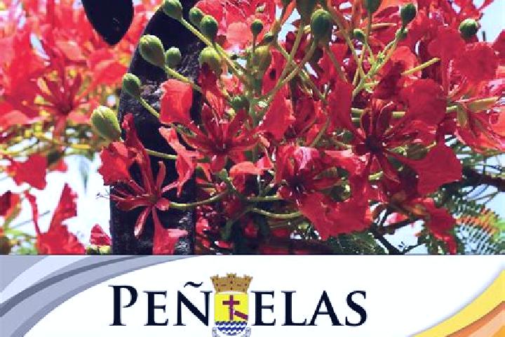 escort Penuelas (El Cienegal)