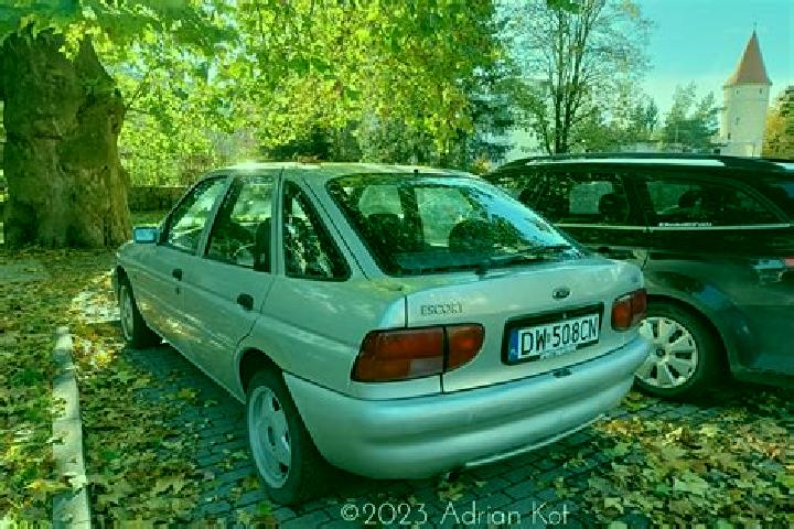 escort Pernis