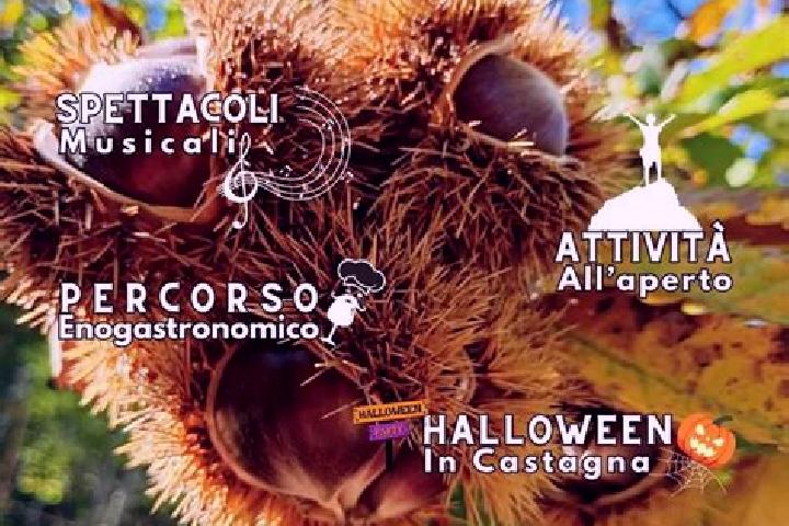 escort Pescorocchiano