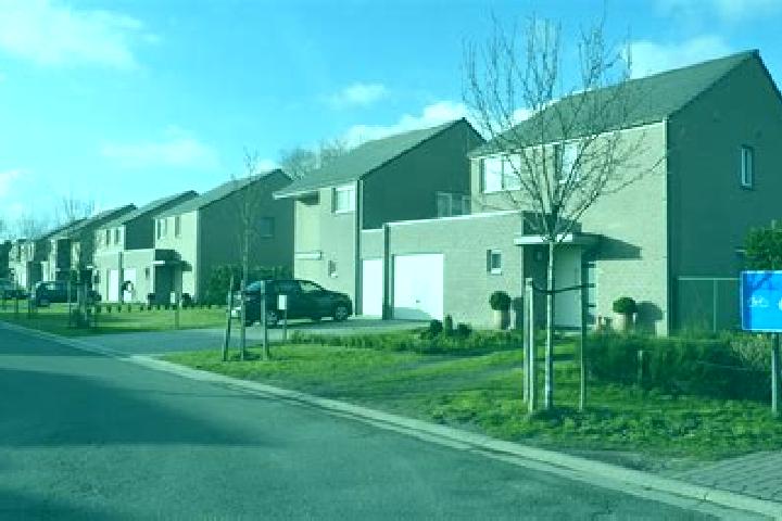 escort Petegem-aan-de-Schelde