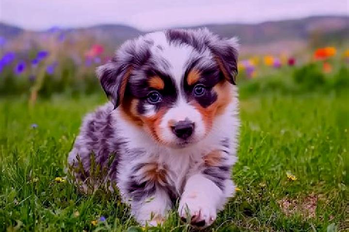 escort Petit-Thier