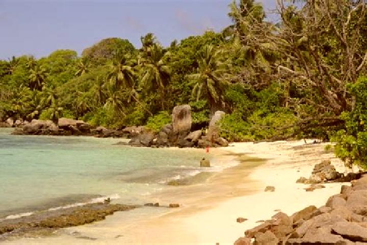 escort Petite Anse