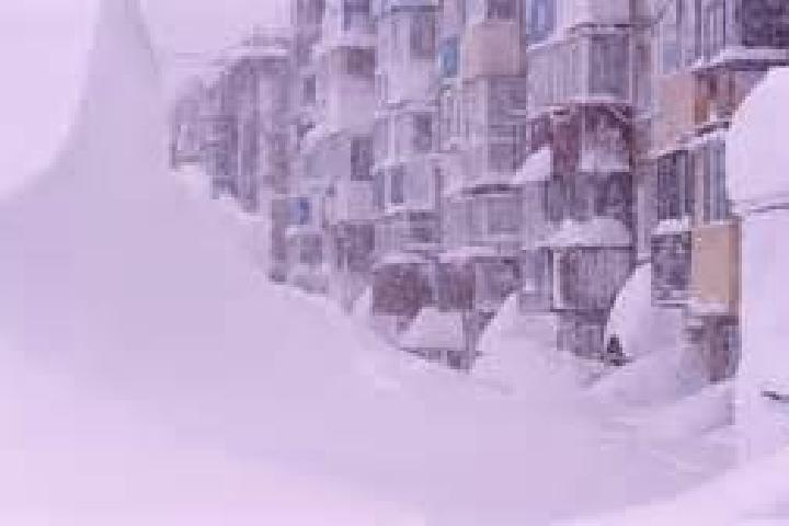 escort Petropavlovsk-Kamchatsky