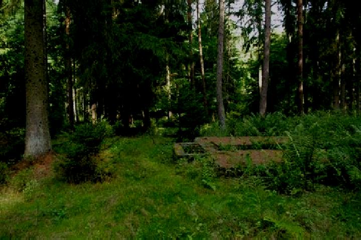 escort Pfaffenwald