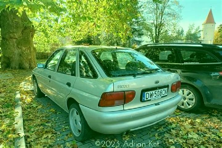 escort Pfiffelbach