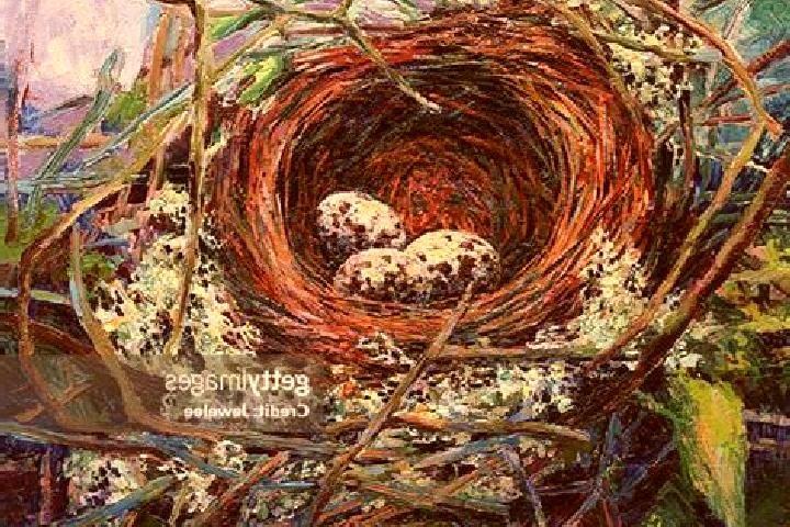escort Pheasants Nest