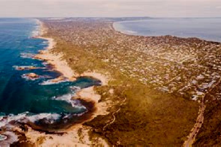 escort Phillip Bay