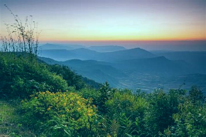 escort Phu Ruea