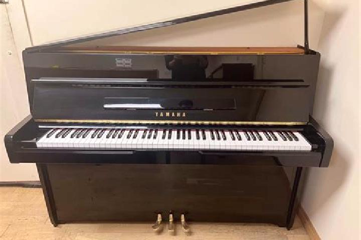 escort Piano-Molini d Isola