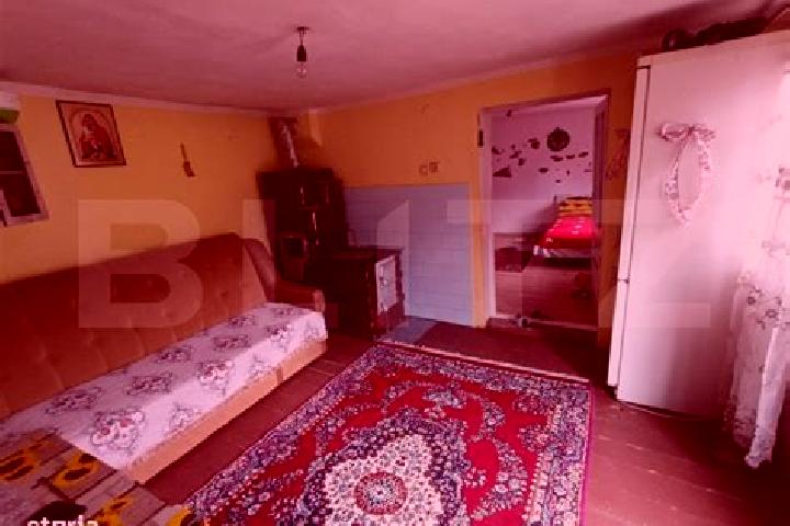 escort Pianu de Jos
