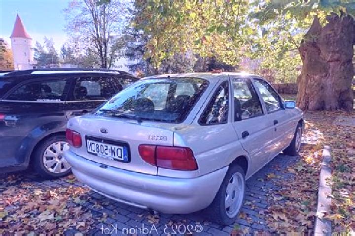 escort Piaski