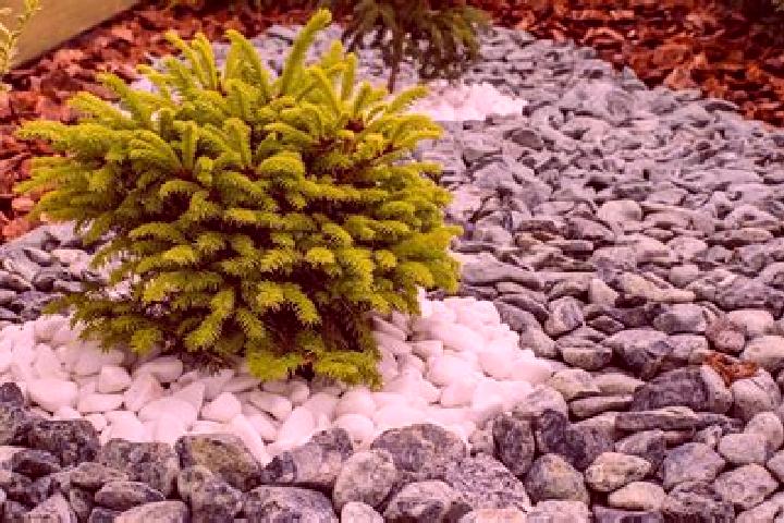 escort Piedras