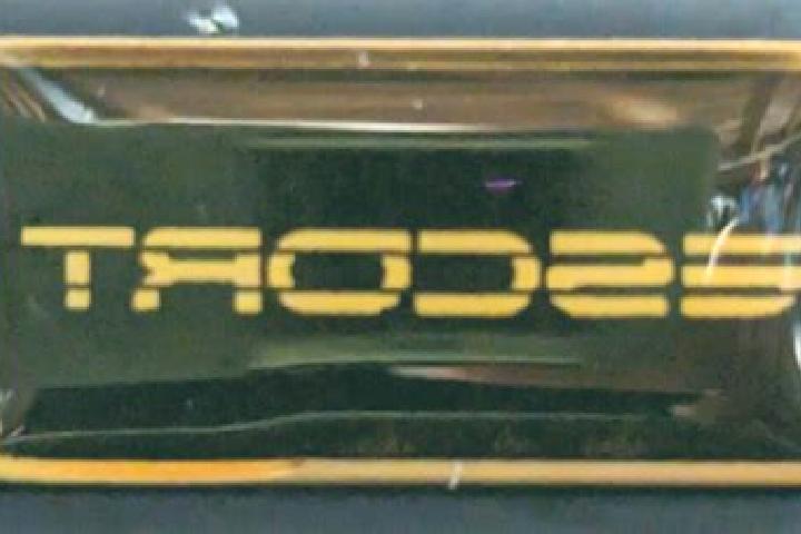 escort Pin