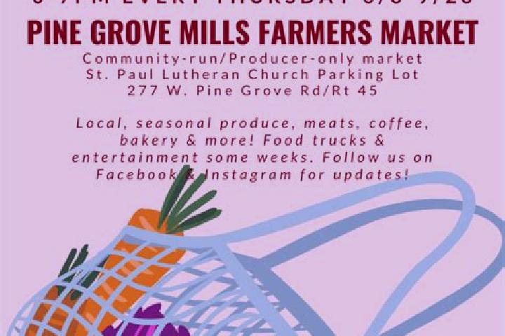 escort Pine Grove Mills
