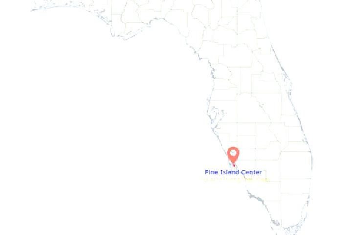 escort Pine Island Center