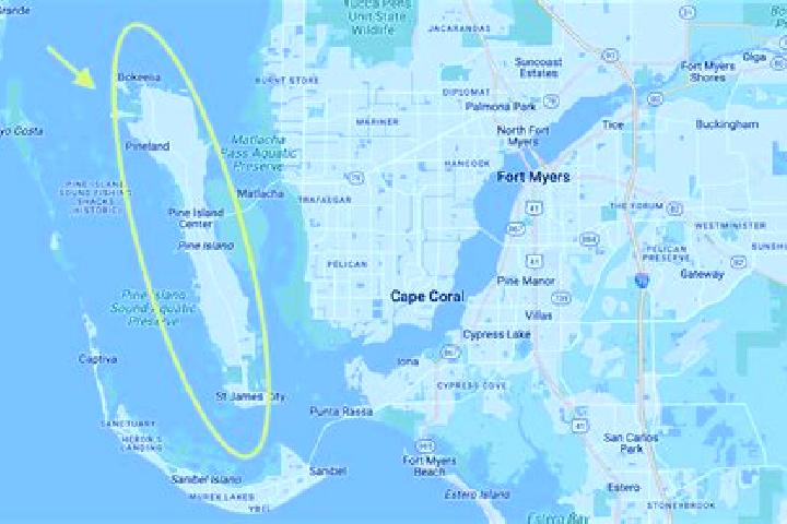 escort Pine Island