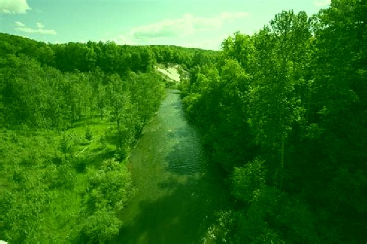 escort Pine River