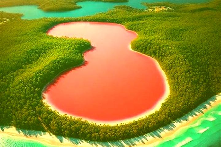 escort Pink Lake