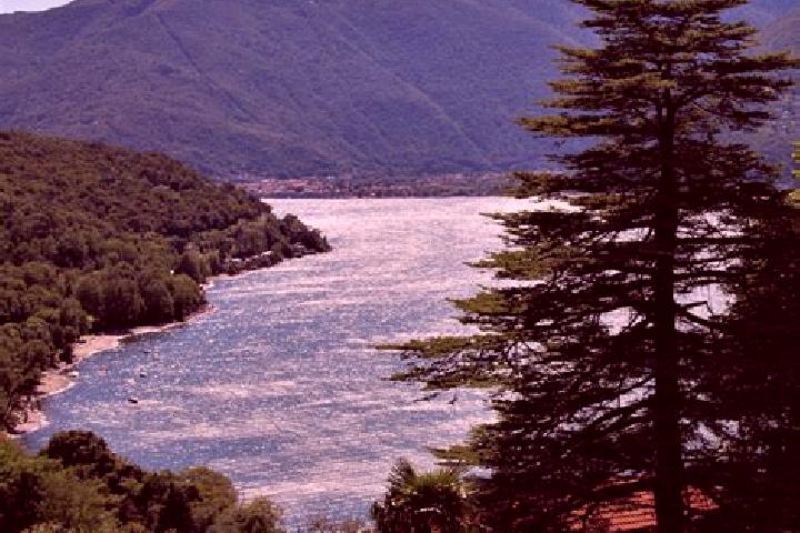 escort Pino sulla Sponda del Lago Maggiore