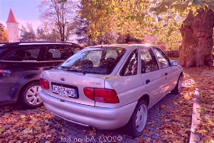 escort Pintesfeld