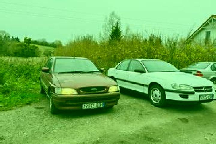 escort Piotrkow Trybunalski
