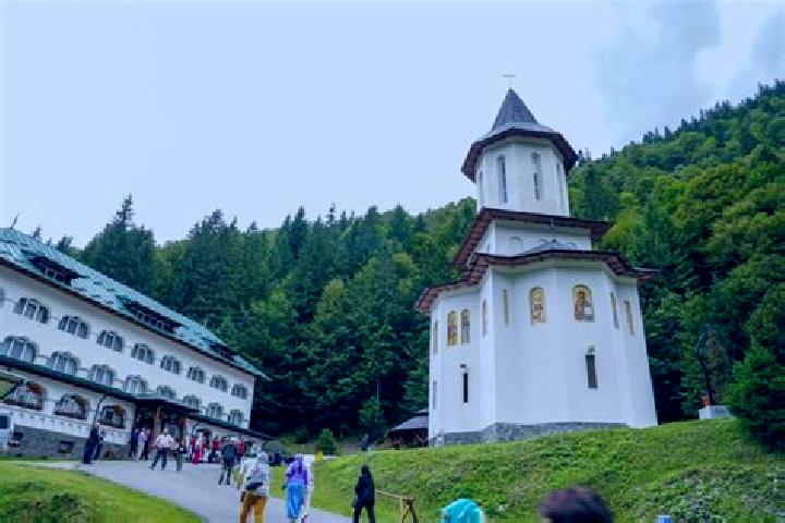 escort Piscu Radului