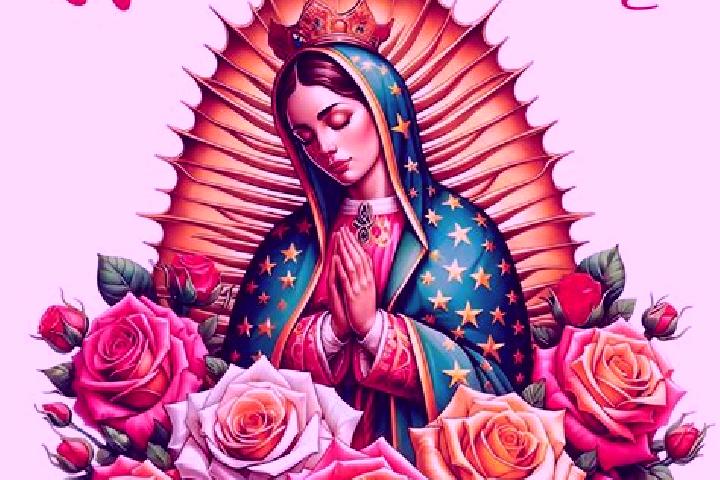 escort Plan de Guadalupe