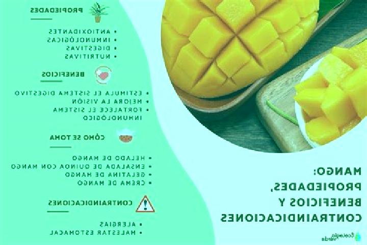 escort Plan de los Mangos