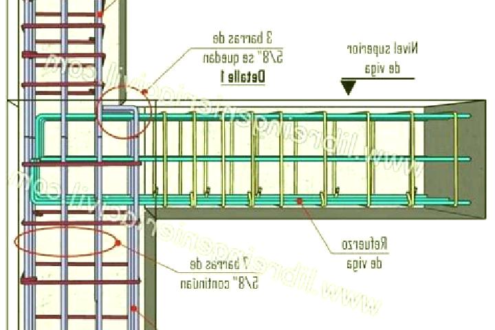 escort Plan de Vigas