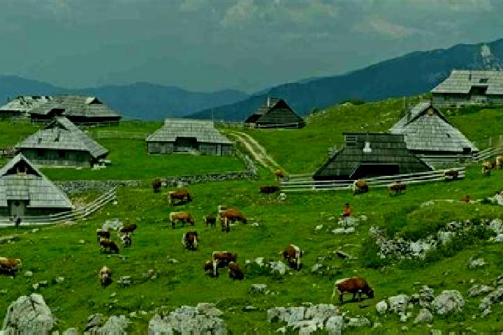 escort Planina