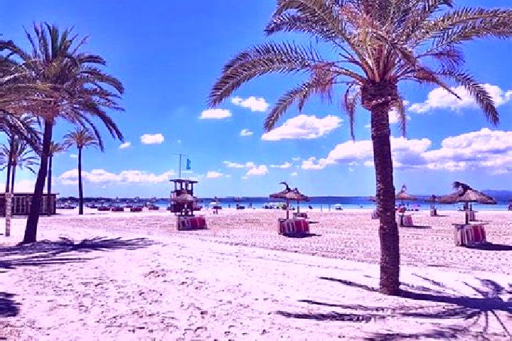 escort Platja d Alcudia