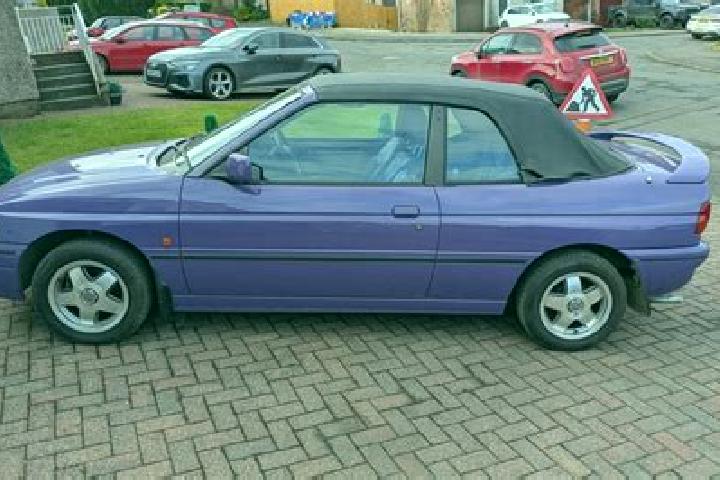 escort Plaue