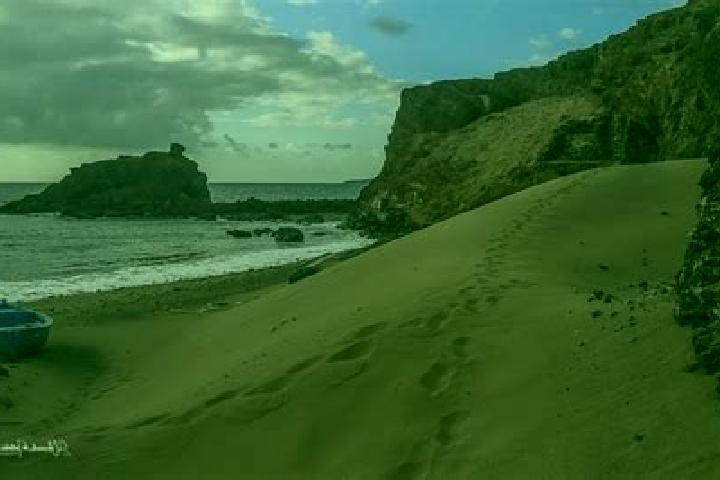 escort Playa del Carrizal