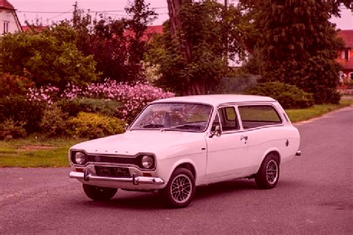 escort Plemo