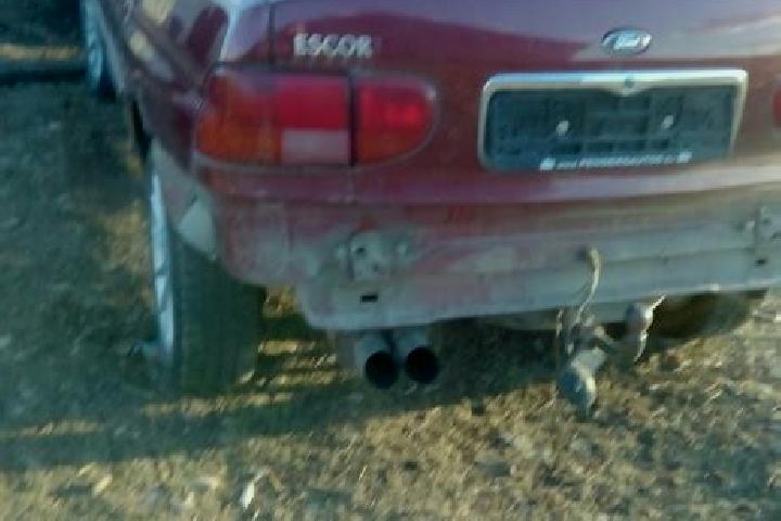 escort Plescoi